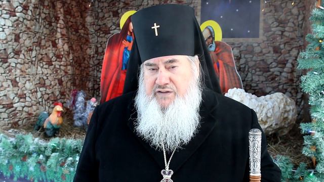 Владыка Зосима поздравляет с праздником Рождества Христова смотреть онлайн