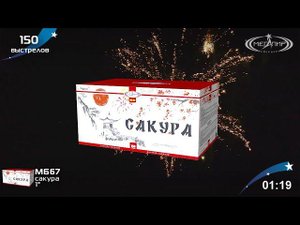 Батарея салютов "Сакура" МБ67