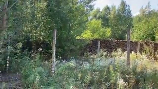в/ч 46111 ДисБат (ОДБ) 31 год спустя. ст. Замчалово, пос. Углерод