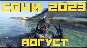 Подводная охота на горбыля. Сочи. Август 2023