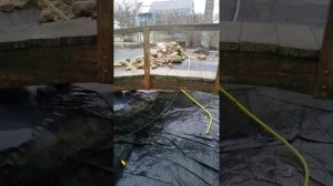 Пруд для уток на участке своими руками? все нюансы обязательно закладываем на этапе проектирования!