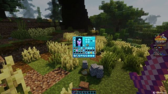 Qui sera le plus RICHE en 1H sur ce PvP Faction CrossPlatform - Asvadia (ft @wizux ) смотреть онлайн