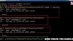 #14 HOW TO DISPLAY LAST 2 DAYS COMMIT LOG IN GIT
