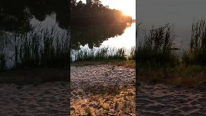 База отдыха в Рязанской области