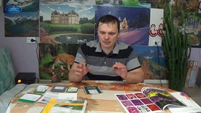 ГДЕ КУПИТЬ СЕМЕНА КРАСИВЫХ ЦВЕТОВ БЕЗ ОБМАНА?