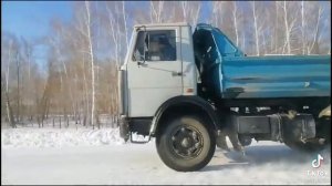 маз 5551