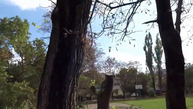 Осеняя велопрогулка в Ставрополе смотреть онлайн