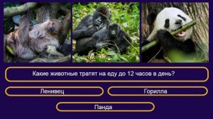 Видео-тест #43: Проверьте свои знания о животных