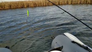 Рыбалка на Кубани.Щука в декабре.Рыбалка на кружки.