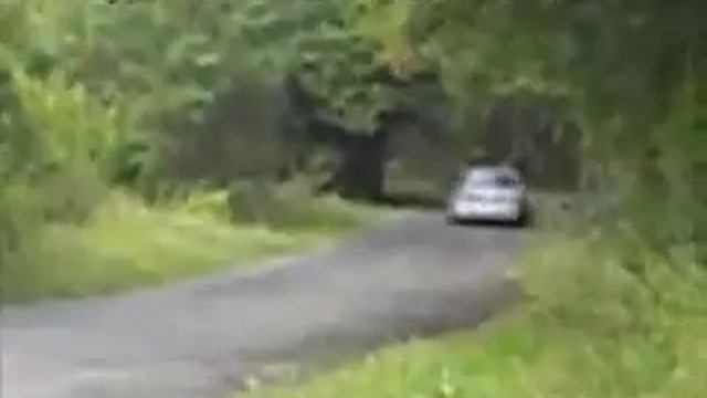 rallye historiques des lacs aveyron r11 turbo смотреть онлайн