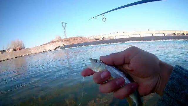 Декабрь 2016, Микроджиговый троегуб ч.2 | December 2016, Microjig threelip p.2 смотреть онлайн