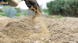 Подкормка почвы осенью / Когда и какие удобрение лучше всего внести в это время?