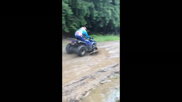 Yamaha Grizzly 350