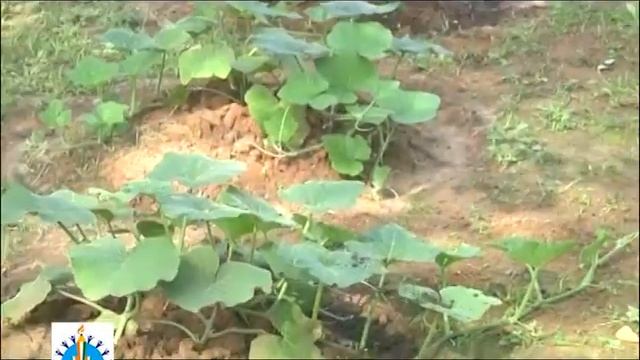 Class X, Bengali, Poem Haat смотреть онлайн