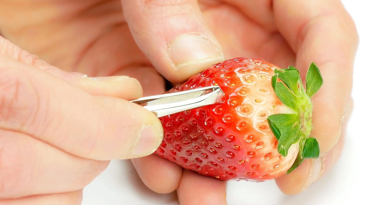 Идеи Для Дома и Дачи, СОВЕТЫ ДЛЯ ДАЧНИКОВ И САДОВОДОВ