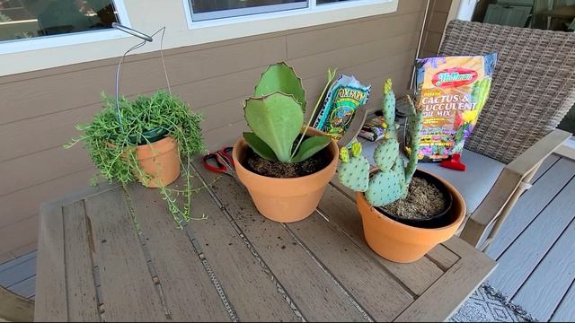 Designing Boho PLANT STAND | DIY Indoor Plant Shelf Home Decor смотреть онлайн