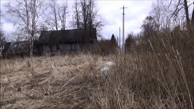 Скажи президент. Старая Русса. 03.04.2015г. смотреть онлайн