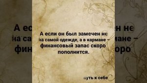 народные приметы и суеверия о пауках