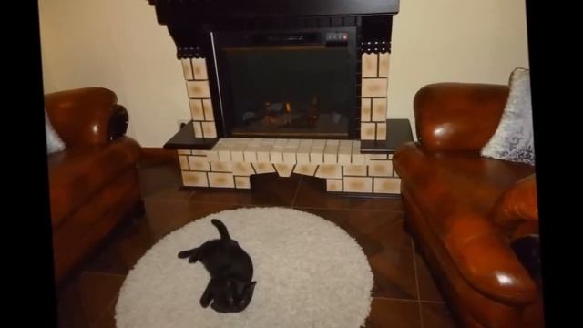 Практичный камин в загородном доме смотреть онлайн