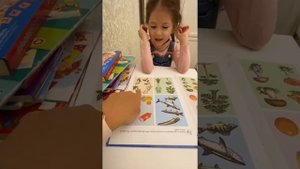 Логопедическая диагностика