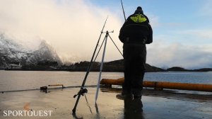 Guided Shore Fishing Northern Norway | Lofoten Islands | Ep 3: The Jetty