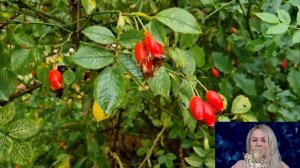 Миллионер уговорил бездомную стать его невестой. Но вскоре всех ждал большой сюрприз...