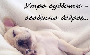 Доброе утро субботы! Хороших выходных!