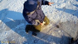 МОРОЗ -30 А ЩУКА РВЕТ ХАПУГУ. Рыбалка на Амуре на хапугу (хлопок) зимой ловля щуки