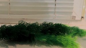 Искусственные водоросли для аквариума из Китая.