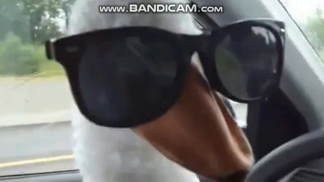 Почему ОПЯТЬ нету видео (микрофон у меня уже есть, поздравьте меня) :D смотреть онлайн