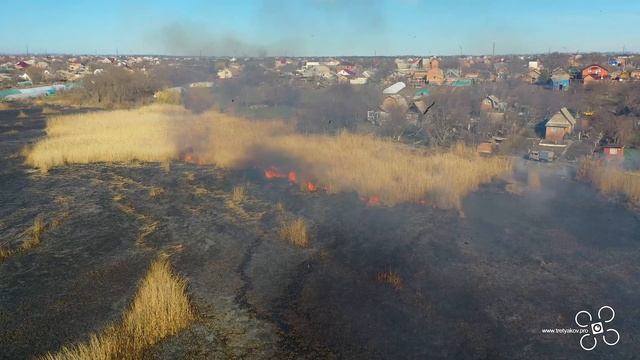 Пожар с.Николаевка горит камыш смотреть онлайн
