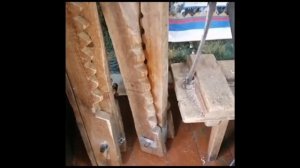 КАМУС ОЛЕНЯ