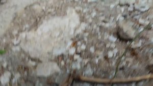 Обзор на заброшку