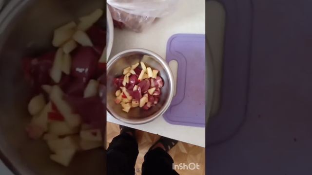 натуральное питание для belgian malinois puppy Nika#Собаки смотреть онлайн