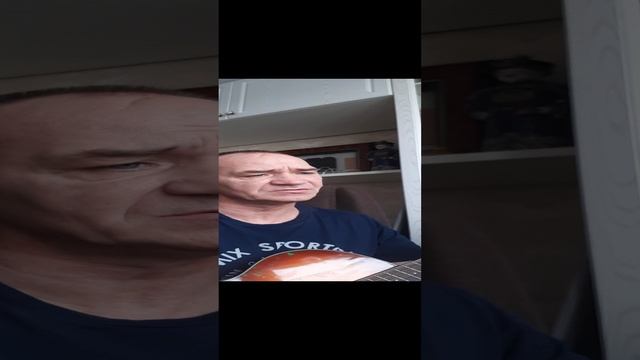 Бездомный пёс.