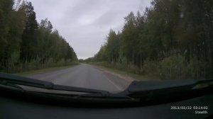 Suzuki GSX-R1000 столкновение на 200 км/ч с собакой. Мотоавария. Moto-accident. Crash.