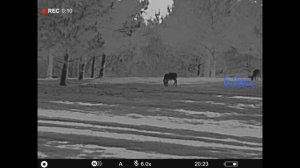 Pulsar Telos LRF XP50 - 5 min Raw Videos - Premium/Upgradeable Thermal