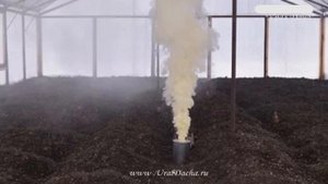 КАК ВЫВЕСТИ МЫШЕЙ. Как бороться с грызунами в огороде, борьба с вредителями..mp4