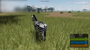 Lion Pride Hunts and Kills Female Zebra in Wild Savanna on Roblox Episode #3