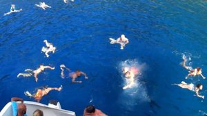 Обзорная морская экскурсия по Мармарису, Турция. Горы, черепашья коса, грязевые ванны.