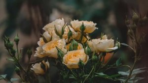 Свекровь с новой барышней мужа, хотели выставить Татьяну с детьми на улицу. Но как же красиво...