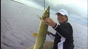 Ловля щуки на поверхностные приманки (Часть 2)