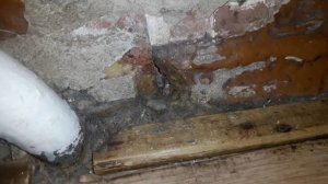 Как избавиться от мышей За 3 минуты!Лучший Способ В Мире!