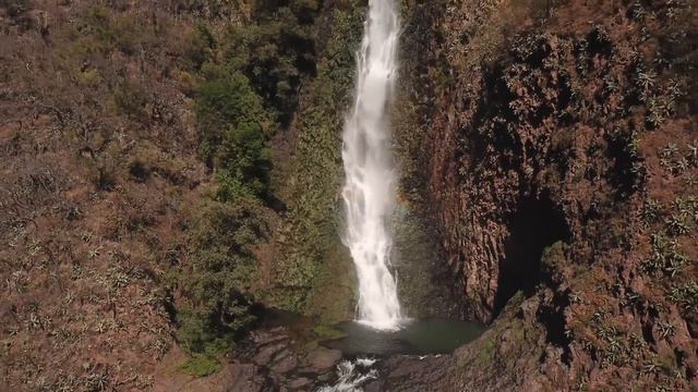 Happy Earth Day Счастливого дня земли смотреть онлайн