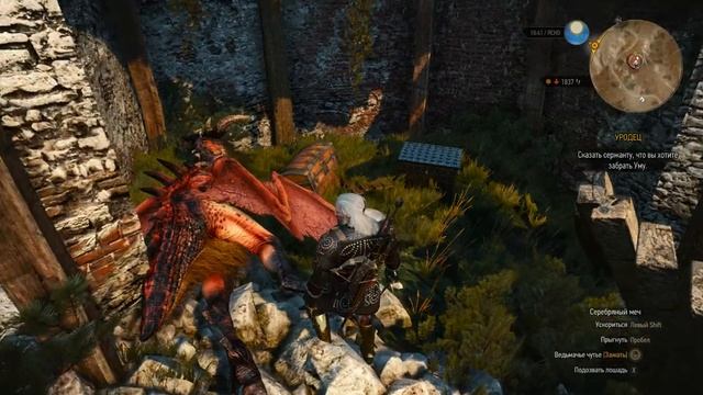 witcher3 Велен Ничейная земля Сокровища под охраной Стародавний дуб Юго запад смотреть онлайн