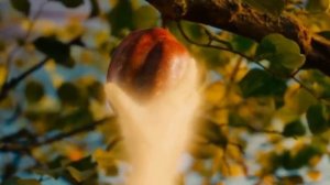 ШОК !!! Наша планета Земля - колония !!!