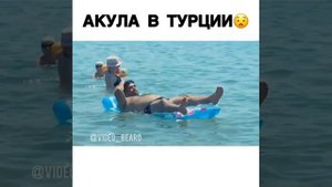 Акула в турции😰
