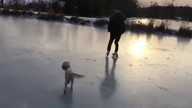 Таисса Фармига/Инстаграм смотреть онлайн