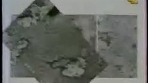 Елена Малышева о люстре Чижевского