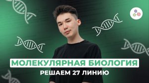 Разбор задач 27 линии. Палиндромы // БИОЛОГИЯ // ЕГЭ-2024 // NEOFAMILY